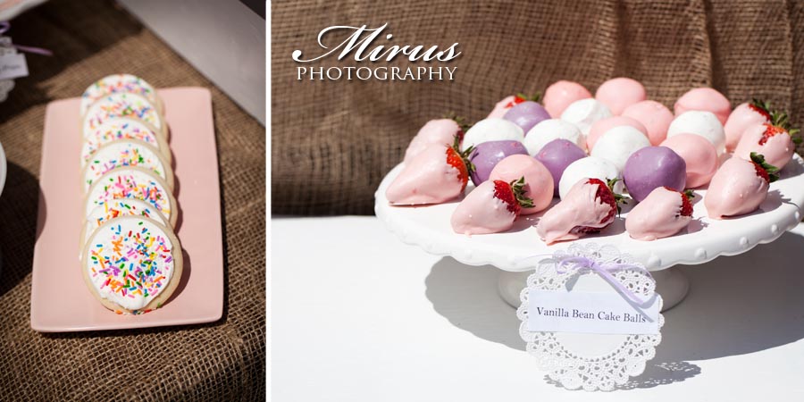 London Ontario Party, Event and Shower Photography Mirus Photography