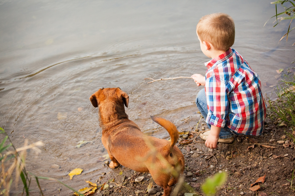 Toddler and Dog Photography session Niagara on the Lake - Mirus Photography