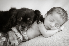 Newborn