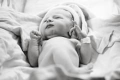 Newborn