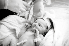 Newborn