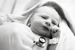 Newborn