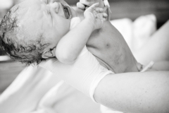 Newborn