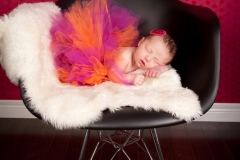 Newborn