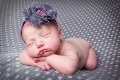 Newborn