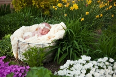 Newborn