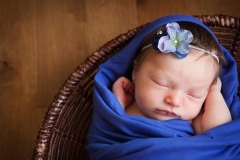 Newborn