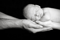 Newborn