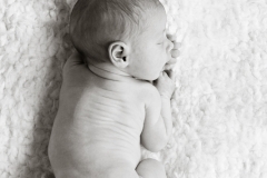 Newborn
