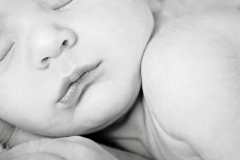 Newborn