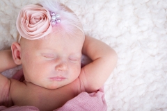 Newborn