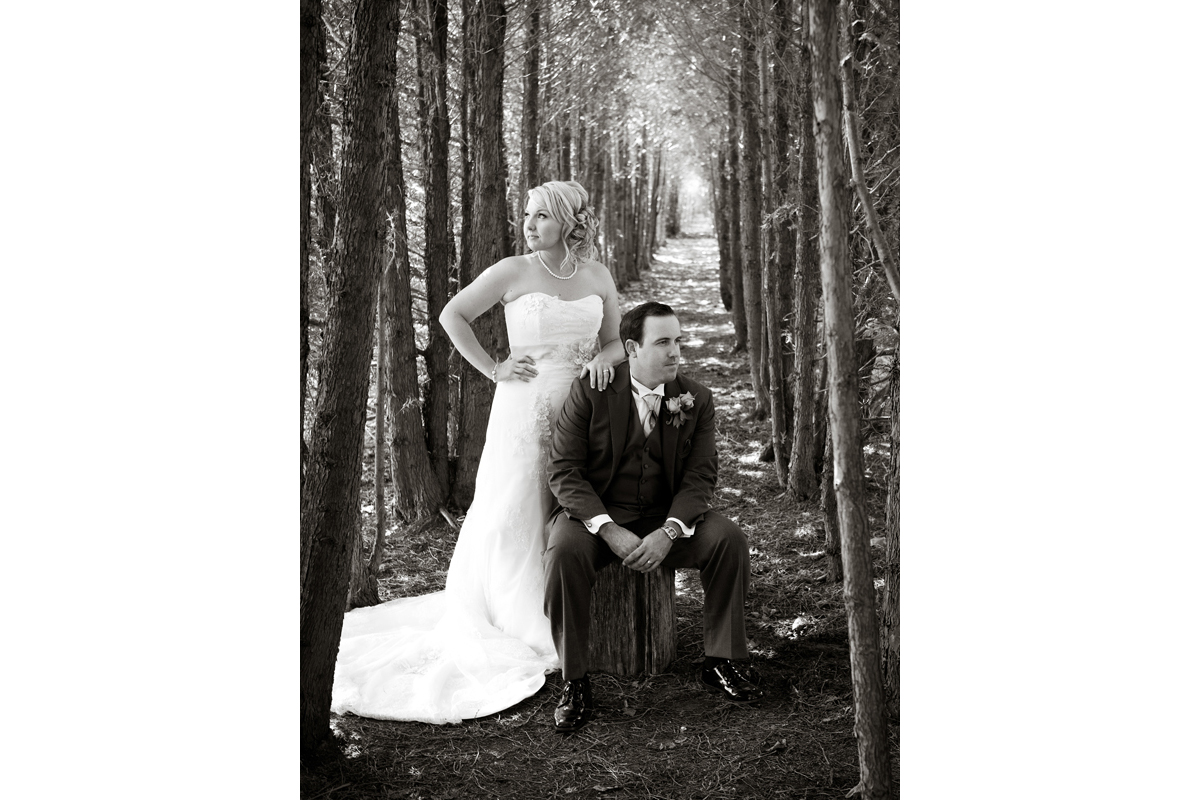Wedding Photographer Cranberry Creek - Mirus Photography