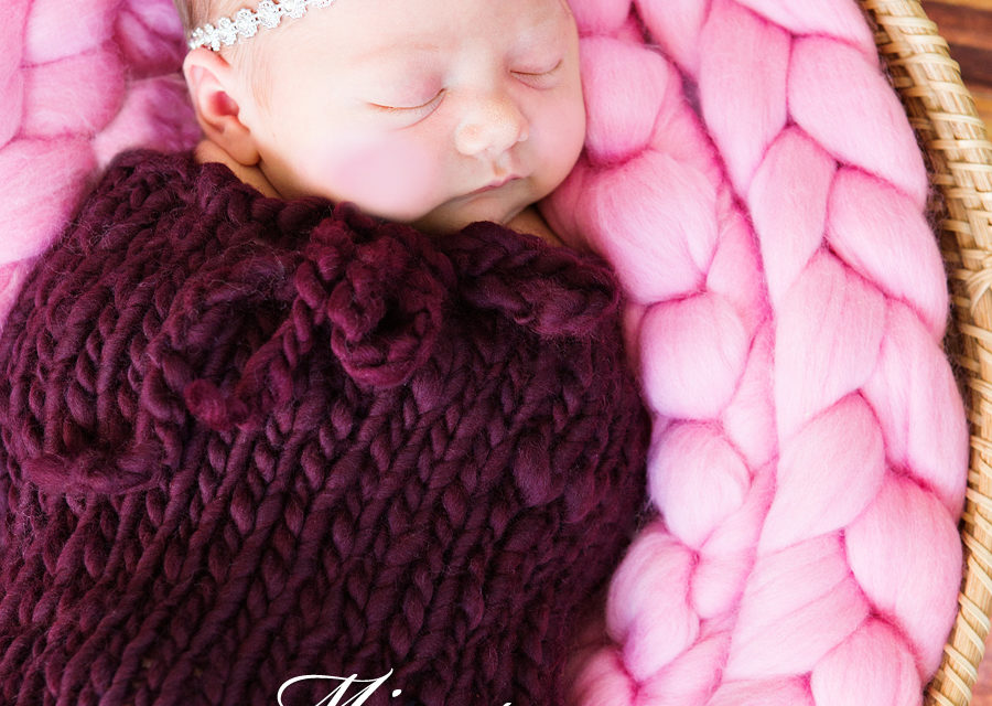 Welcome Lovely Lyla – St. Catharines Newborn Photographer